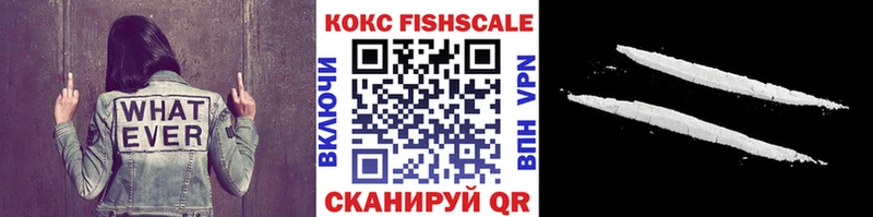 COCAIN Fish Scale  Яранск 